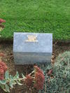Zoom Grave
