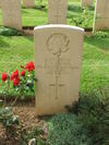 Zoom Grave