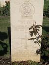 Zoom Grave
