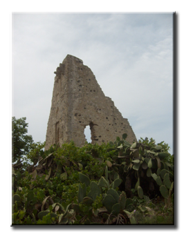 Torre Scibini